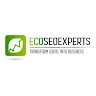 EcoSEOExperts India