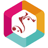 visualwebz