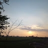 Shahid Sial