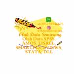 Olah Data Semarang profile picture