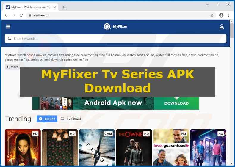 MyFlixer -Features With Advantages and Disadvantages