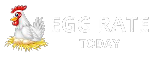 Hyderabad Egg Rate Today | NECC Egg Price Telangana