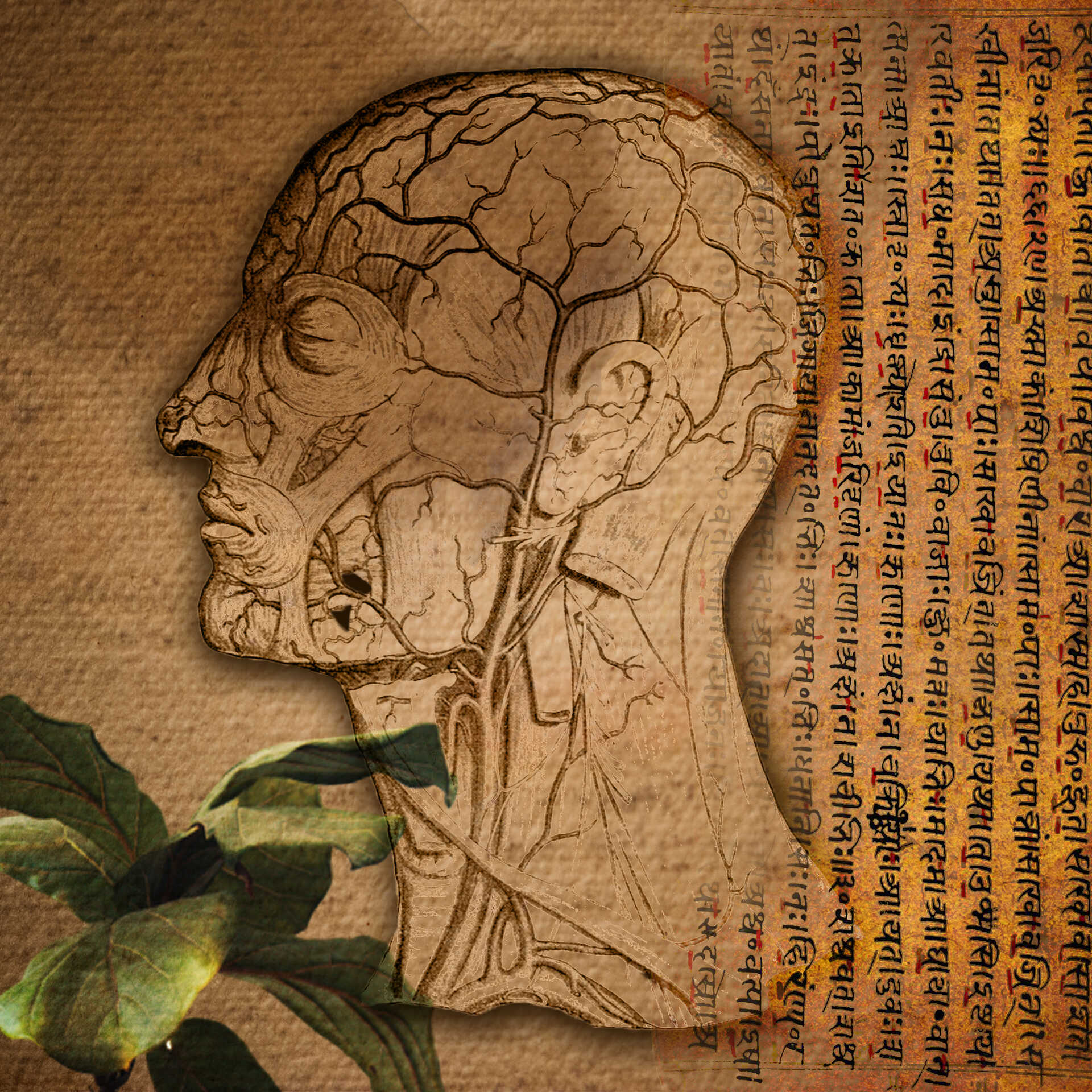 Treat All Type Of Neurological & Brain Disorders With Ayurveda - Proven Results