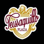 Teusaquillo Plaza profile picture