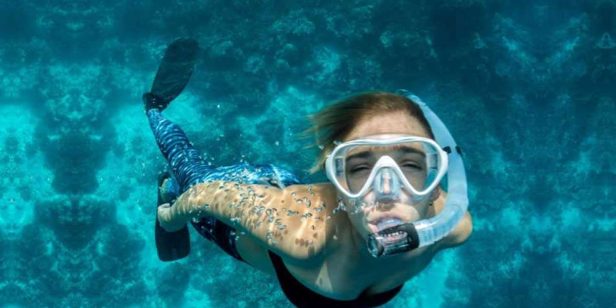 Snorkel Trips Maui: A Must-See Destination