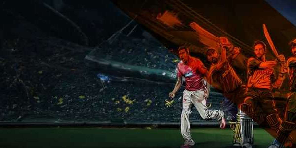 Magical Cricket Odyssey: Reliving the Magicwin Moments of IPL 2024